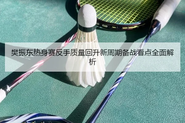 樊振东热身赛反手质量回升新周期备战看点全面解析 | MKSPORTS
